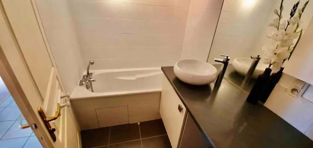 Tichnich Appartement - 2 Bedrooms - 1 Min Away From Train Station Annemasse Eksteriør billede