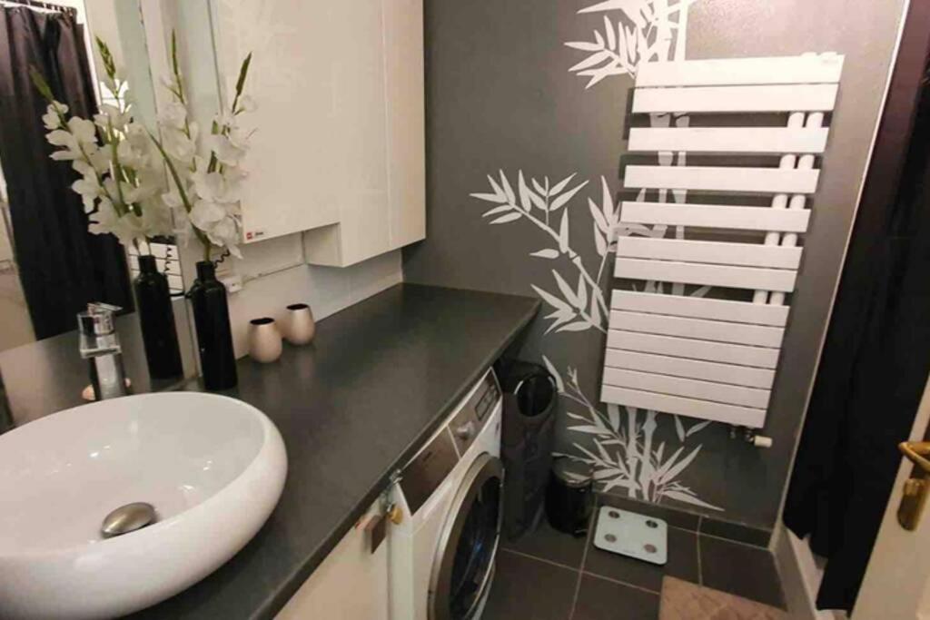 Tichnich Appartement - 2 Bedrooms - 1 Min Away From Train Station Annemasse Eksteriør billede